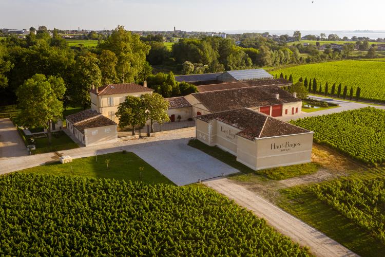 Chateau Haut-Bages Liberal - Pauillac