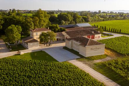 Chateau Haut-Bages Liberal - Pauillac